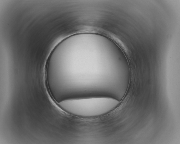 X0000112031479200908031012