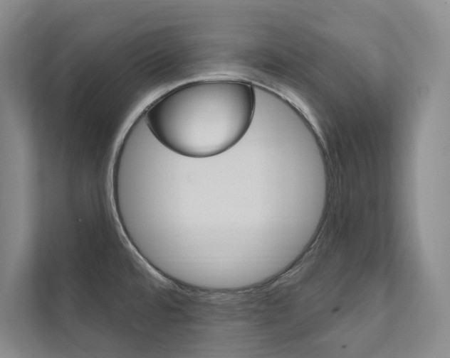 X0000112031480200908031012