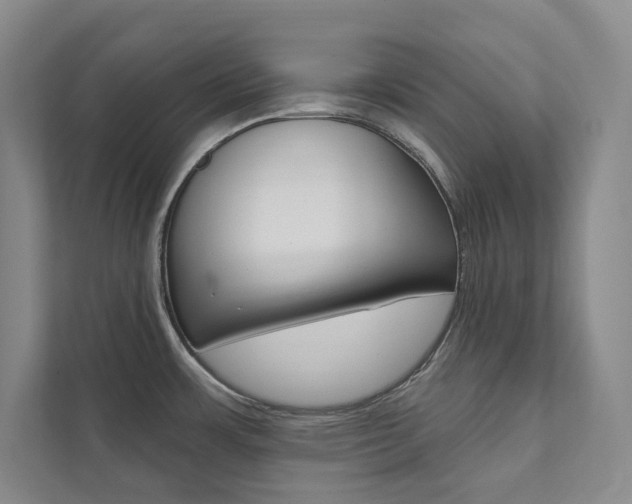X0000112031483200908031012