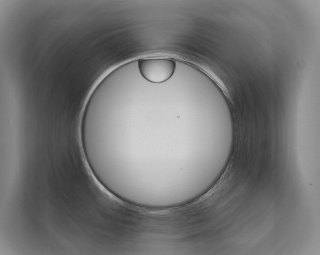 X0000112031484200908031012