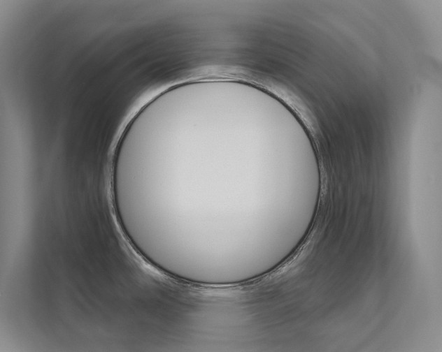 X0000112031486200908031012
