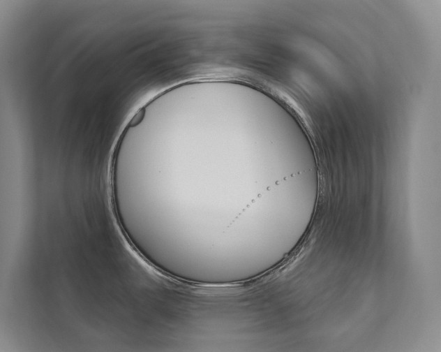 X0000112031487200908031012