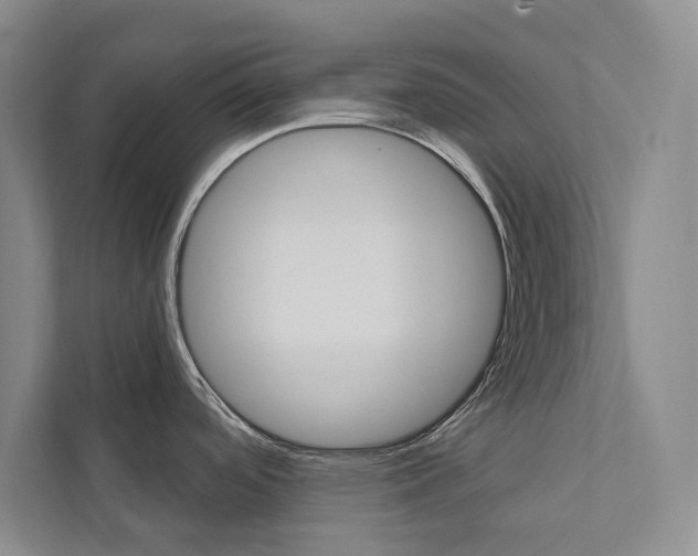 X0000112031488200908031012