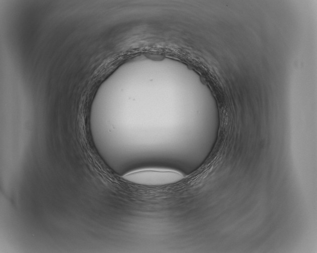 X0000112031489200908031011