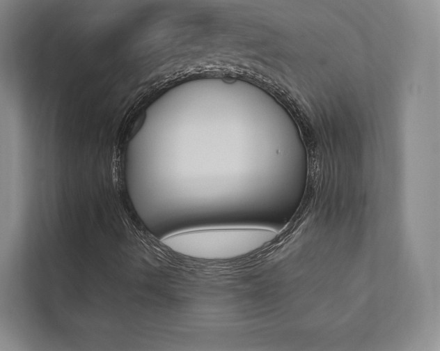 X0000112031490200908031011