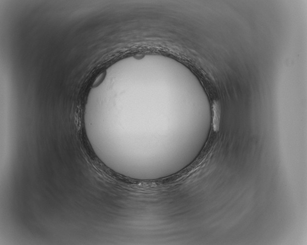 X0000112031491200908031011