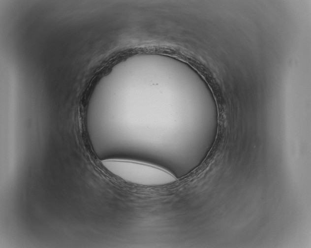 X0000112031493200908031011