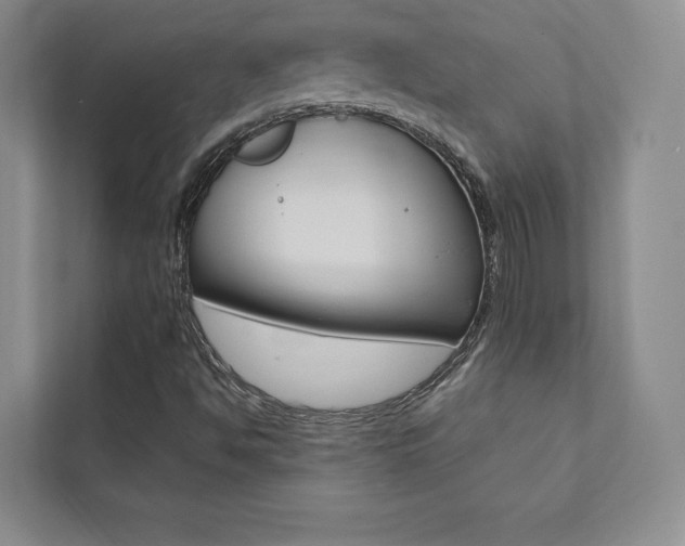 X0000112031494200908031011
