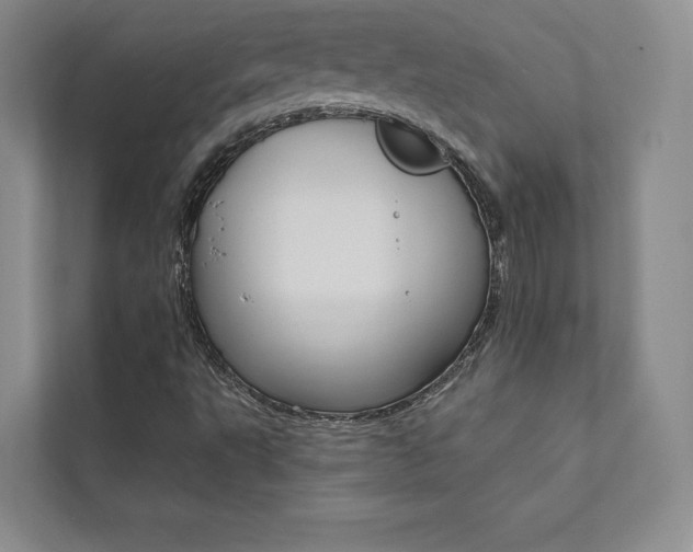 X0000112031495200908031011