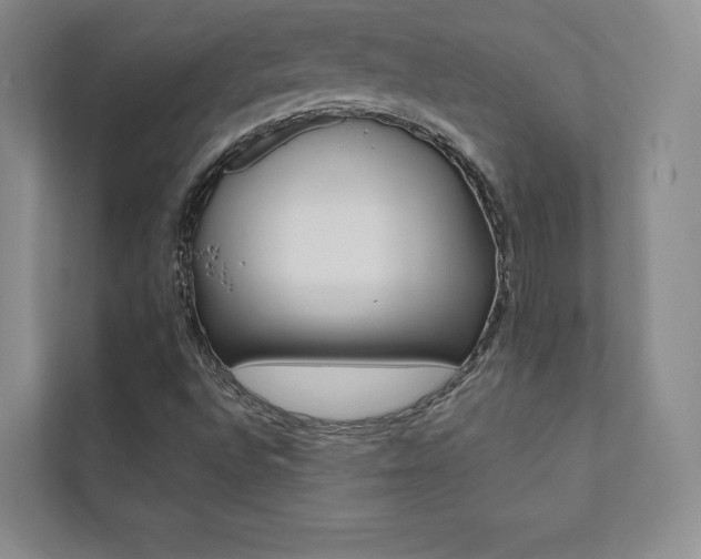 X0000112031496200908031011