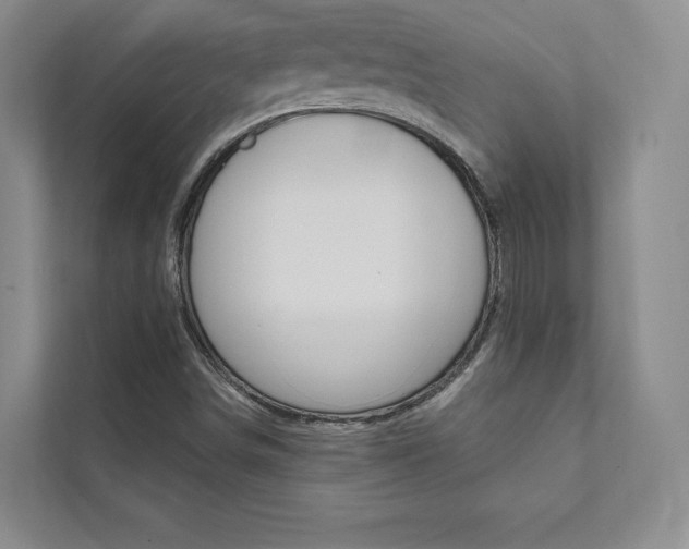 X0000112031498200908031012