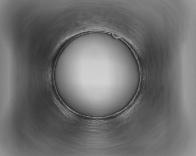 X0000112031499200908031012