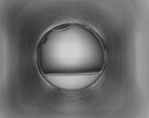 X0000112031500200908031012