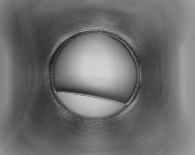 X0000112031501200908031012