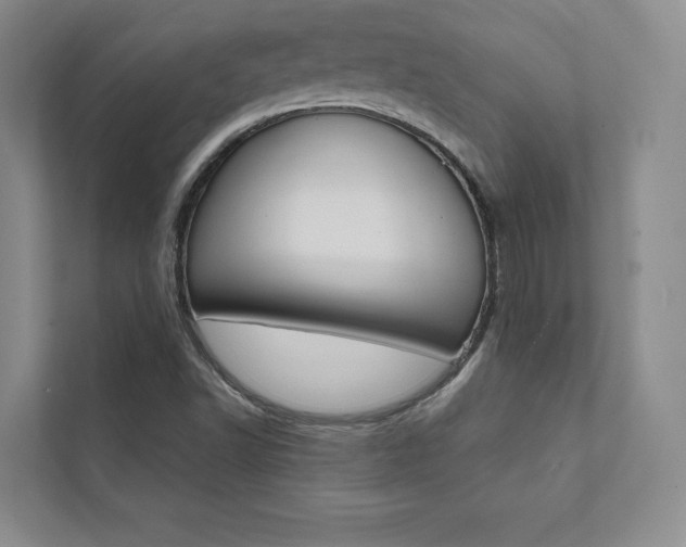 X0000112031502200908031012