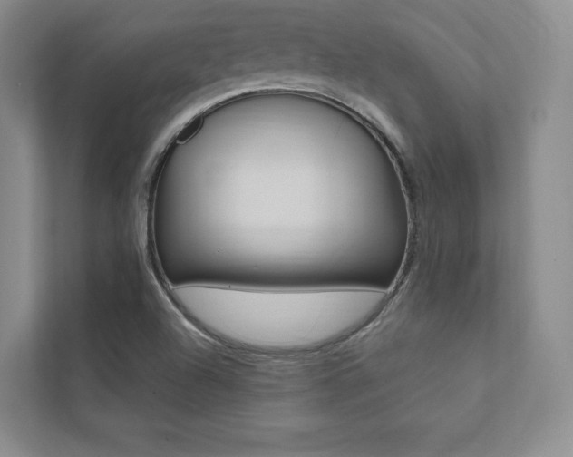X0000112031504200908031012