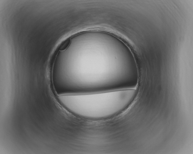 X0000112031506200908031012