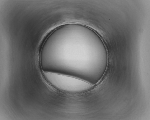 X0000112031507200908031012