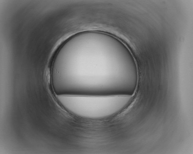 X0000112031509200908031012