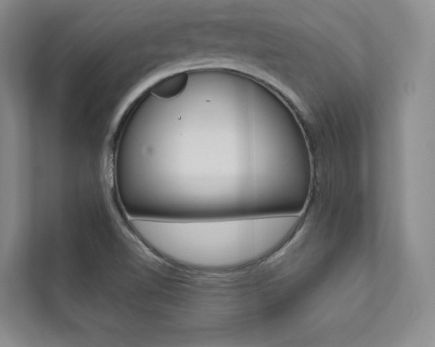 X0000112031510200908031012