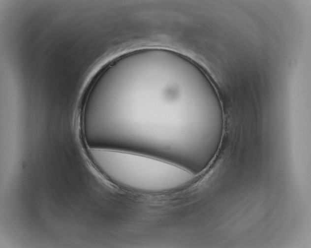 X0000112031511200908031012