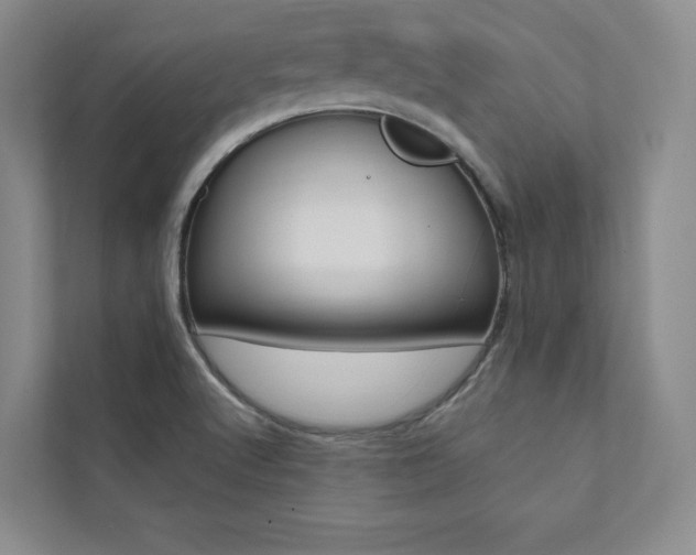 X0000112031512200908031012