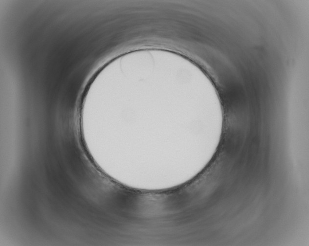 X0000112031514200908031012
