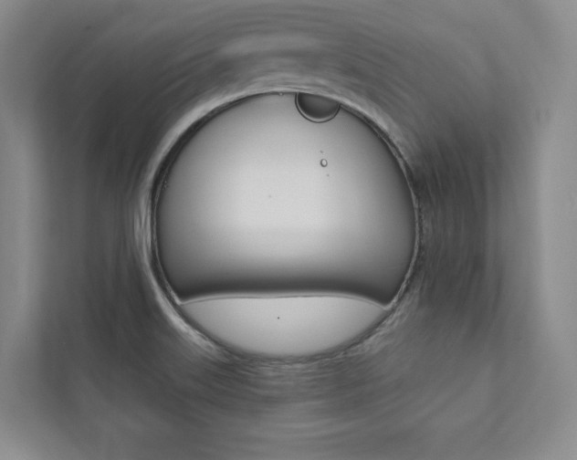 X0000112031515200908031012