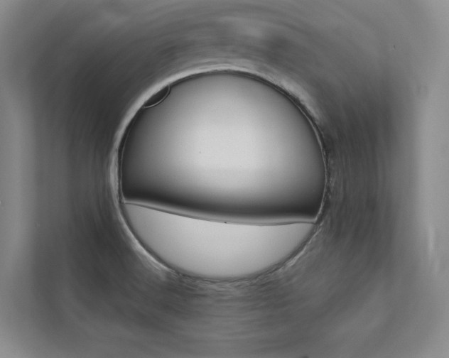 X0000112031516200908031012