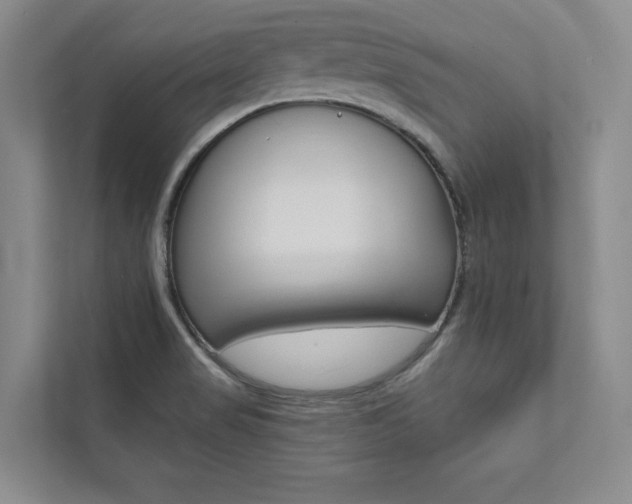 X0000112031517200908031012