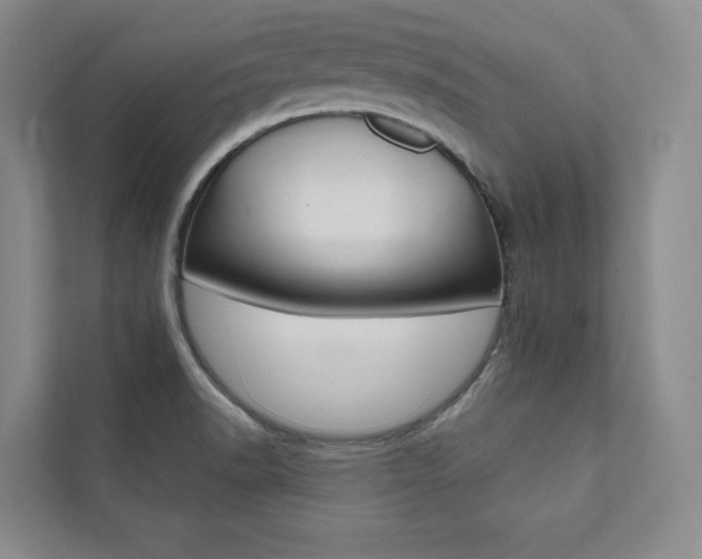 X0000112031518200908031012