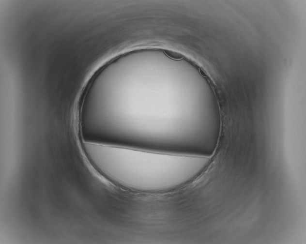 X0000112031519200908031012