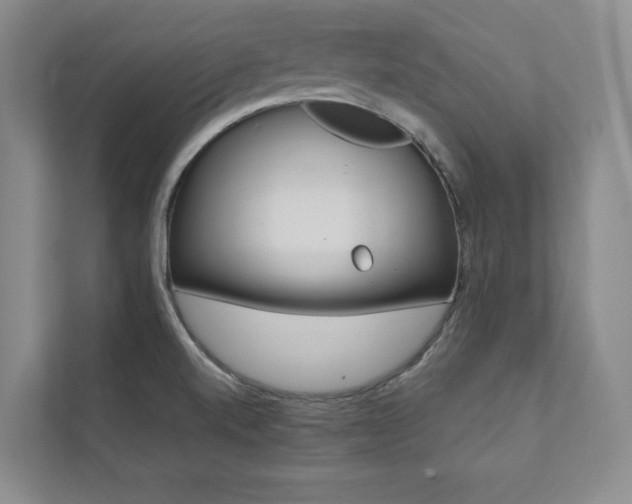 X0000112031520200908031012