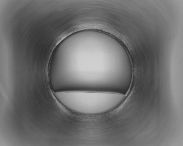 X0000112031521200908031012