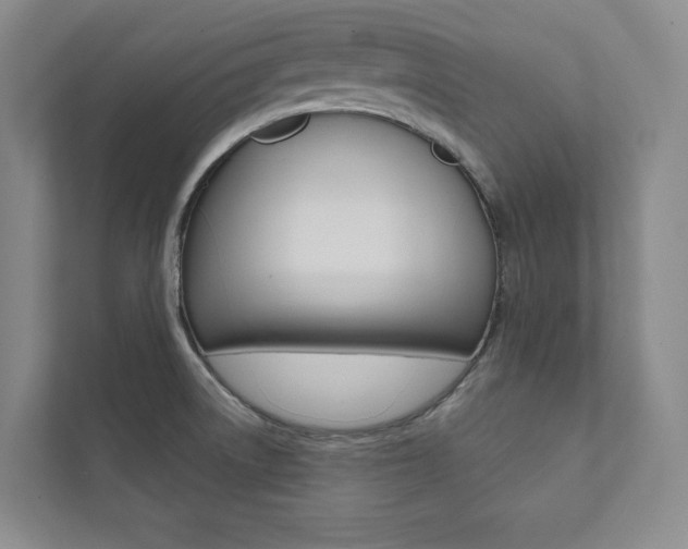 X0000112031522200908031012