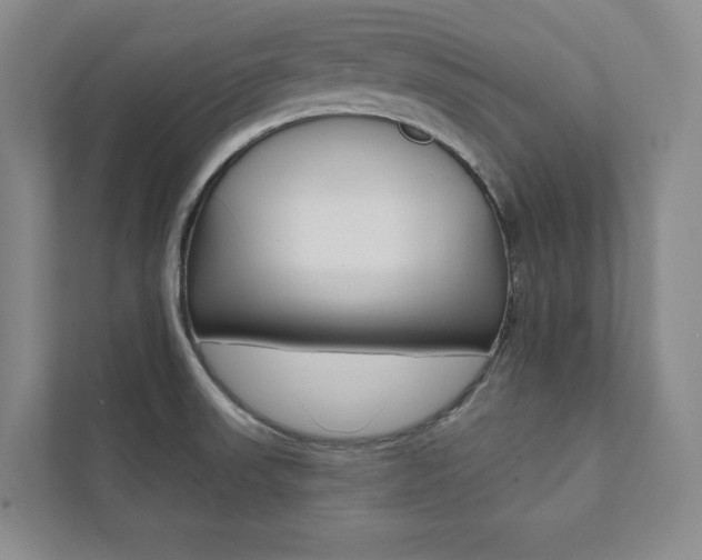 X0000112031523200908031012