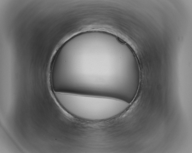 X0000112031525200908031012