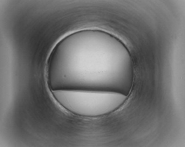 X0000112031526200908031012