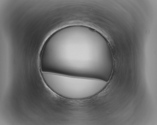 X0000112031527200908031012