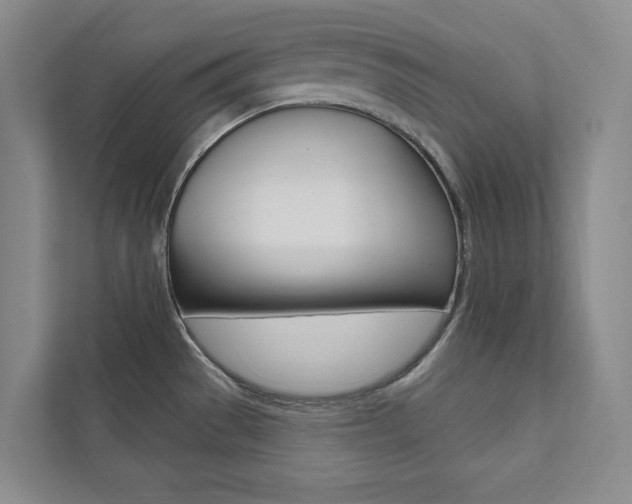 X0000112031529200908031012