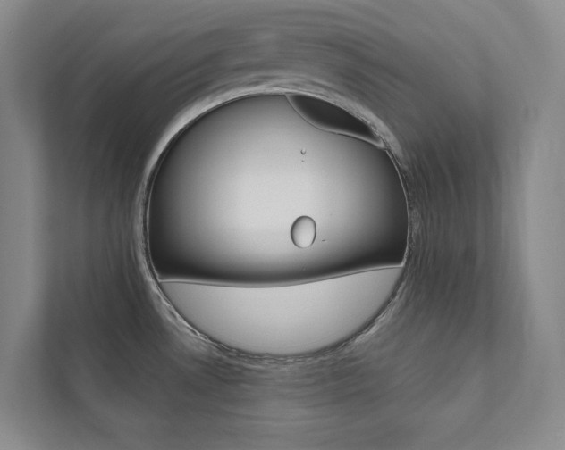X0000112031530200908031012
