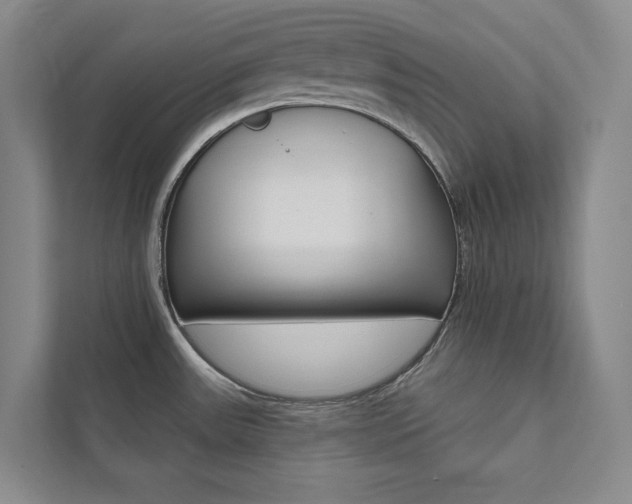 X0000112031531200908031012