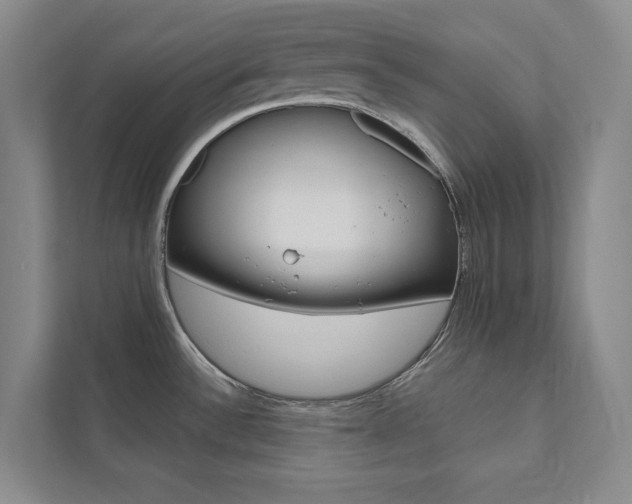 X0000112031532200908031012