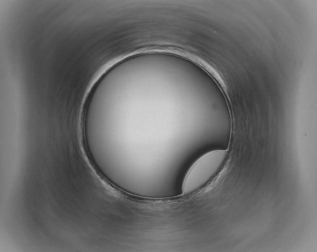 X0000112031533200908031012