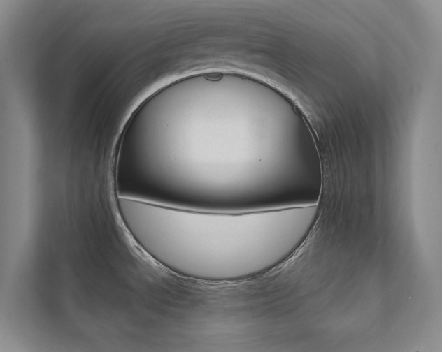 X0000112031534200908031012