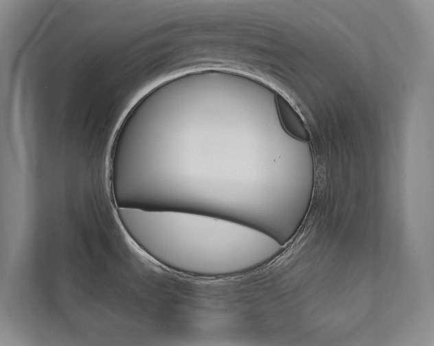 X0000112031535200908031012