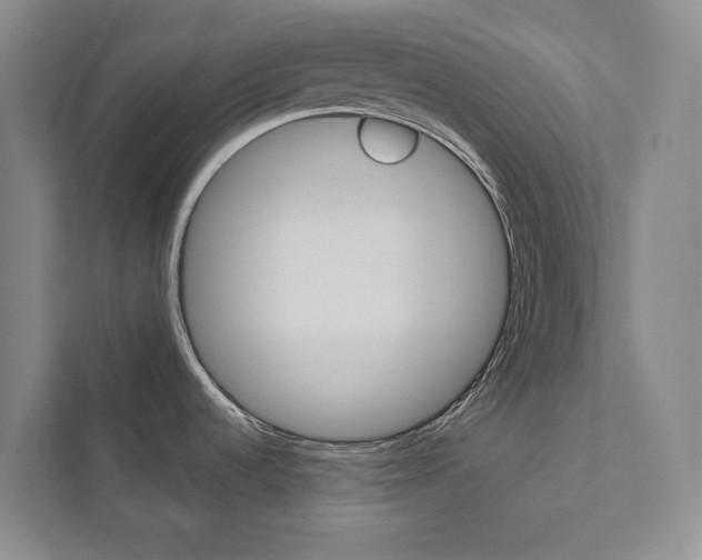 X0000112031536200908031012
