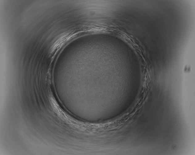 X0000112030002200908031447