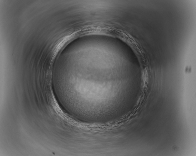 X0000112030003200908031447