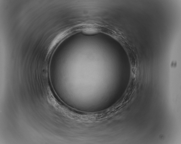 X0000112030004200908031447